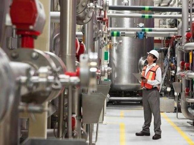 Palm Oil Processing Plant Haryana