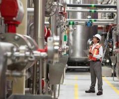 Palm Oil Processing Plant Haryana