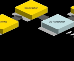 Palm Oil Processing Plant Haryana